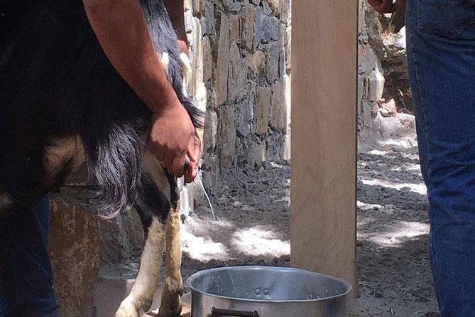 Landrover Safari Explore Shephards Hut and Cheese Making Process - Traditional Cretan Cuisine