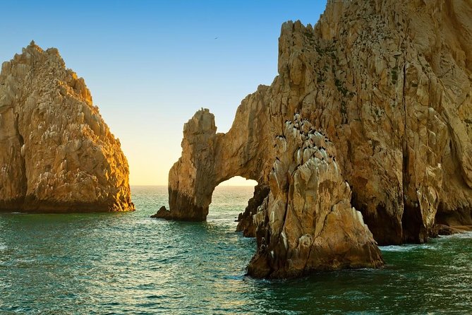 Lands End & Snorkel Tour in a Glass Bottom Boat (VisitA Cabo) - Key Points