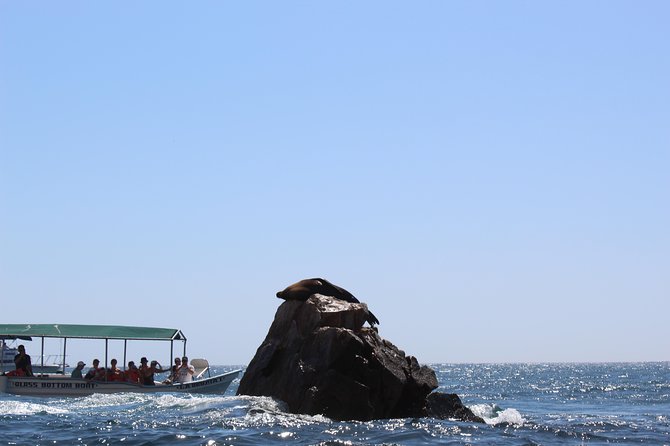 Lands End & Snorkel Tour in a Glass Bottom Boat (VisitA Cabo) - Meeting and Pickup Details