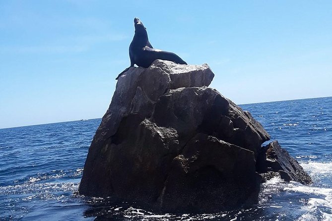 Lands End & Snorkel Tour in a Glass Bottom Boat (VisitA Cabo) - Exploring Cabo San Lucas