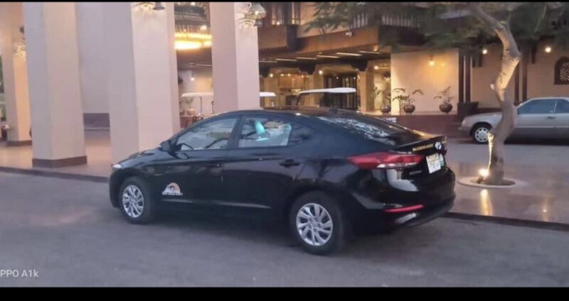 Landvetter Airport to Gothenburg Hotel: Private Transfer - Professional Driver Services