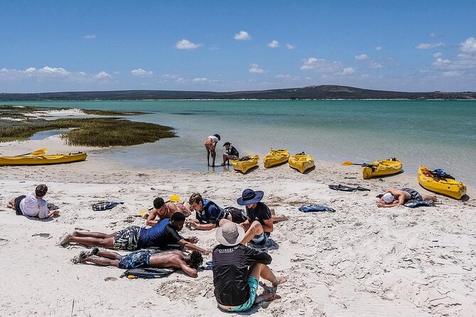 Langebaan Lagoon Island Kayak Experience - Accessibility and Requirements