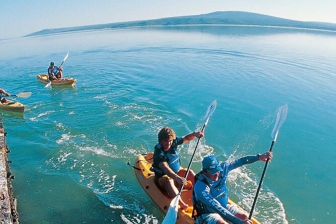 Langebaan Lagoon Island Kayak Experience - Personal Experience
