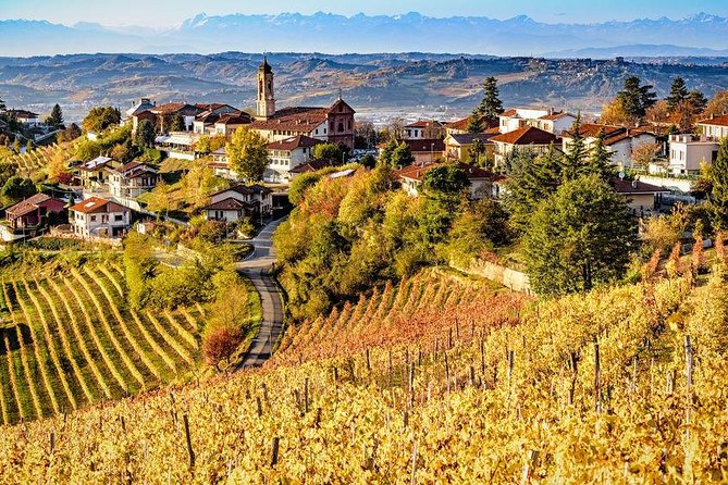 Langhe: Alba & Barolo - Discovering the History of Alba