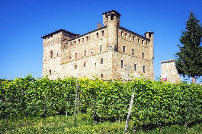 Langhe: Alba & Barolo - Highlights of the WiMu Experience