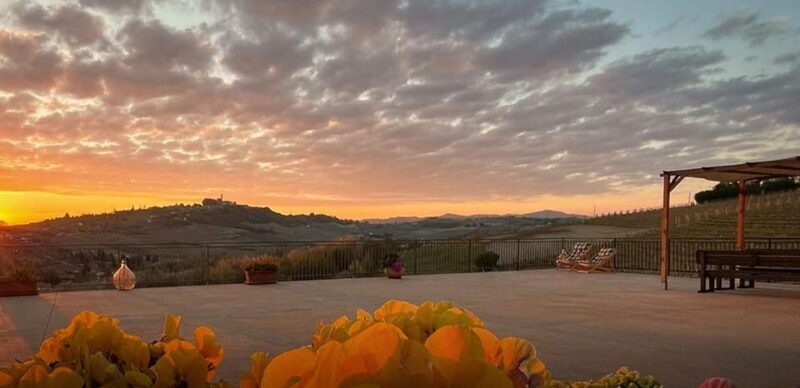 Langhe and Monferrato: Amerio Vincenzo Wine Tour and Tasting - Wine Tasting Selection