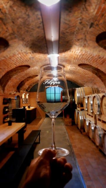 Langhe and Monferrato: Tour & Wine Tasting of Agliano Wines - Key Points