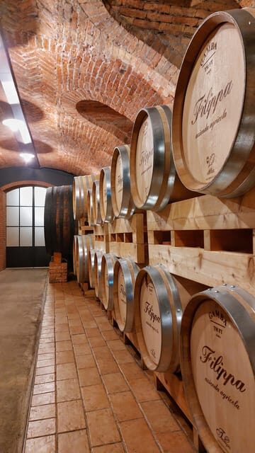 Langhe and Monferrato: Tour & Wine Tasting of Agliano Wines - Since Your Asked
