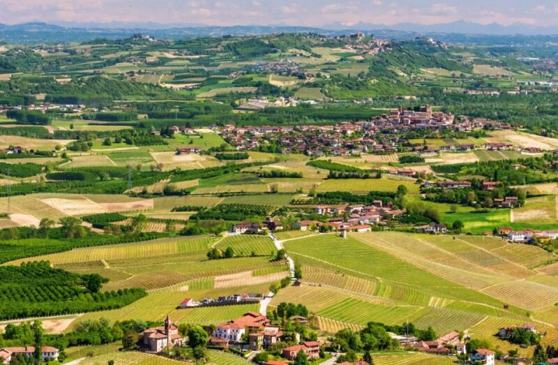 Langhe / Barolo / Alba - Tour in Ferrari - Barolo Wine Region