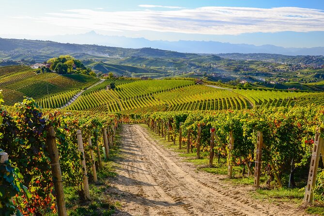 Langhe Del Barolo Private E-Bike Tour - Asphalt and Dirt Road - Booking Information and Policies