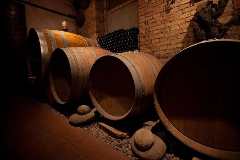 Langhe & Monferrato: Vineyard Tour and Wine Tasting - Discovering the Piedmont Wine Region