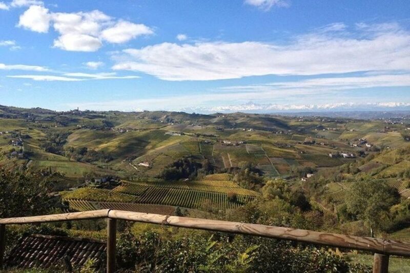 Langhe & Monferrato: Vineyard Tour and Wine Tasting - Participant Age Restrictions