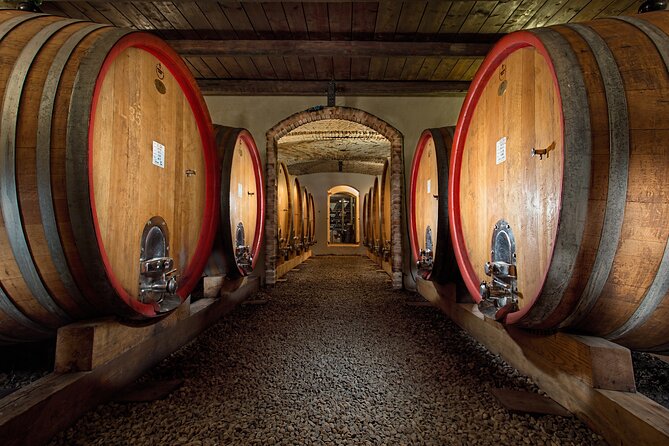Langhe (Piedmont): Wine Tasting Experience - Highlights of the Tour Itinerary