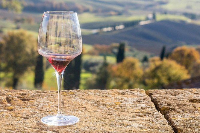 Langhe (Piedmont): Wine Tasting Experience - Accessibility and Meeting Information