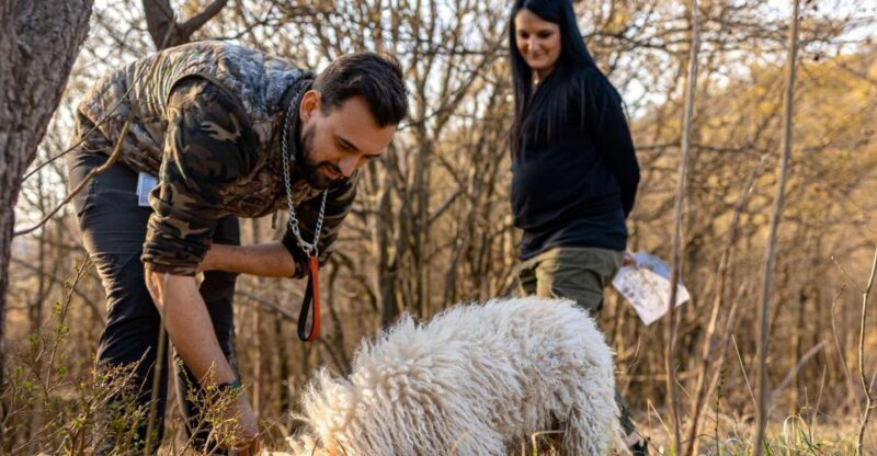 Langhe: Sunset Truffle Hunting With Tasting and Wine - Activities