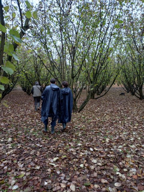 Langhe: Truffle Hunting Experience - Transport Options