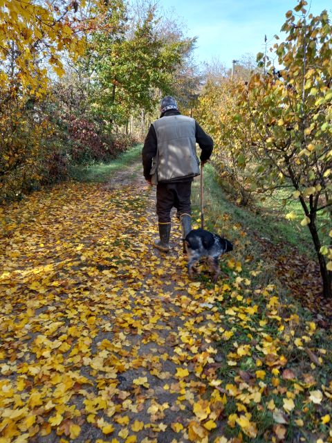 Langhe: Truffle Hunting Experience - Pricing and Availability