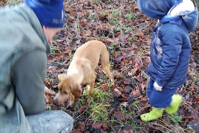 Langhe Truffle Hunting Experience - Meeting and Transportation