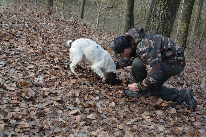 Langhe Truffle Hunting Experience - Cancellation and Booking Information