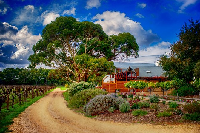 Langhorne Creek Wine Region Daytrip With Lunch From Adelaide - Winery Visits