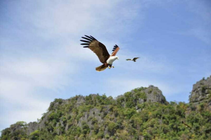Langkawi: 6-Hour Private Island Highlights Tour - Final Thoughts: Is This Tour Right for You?