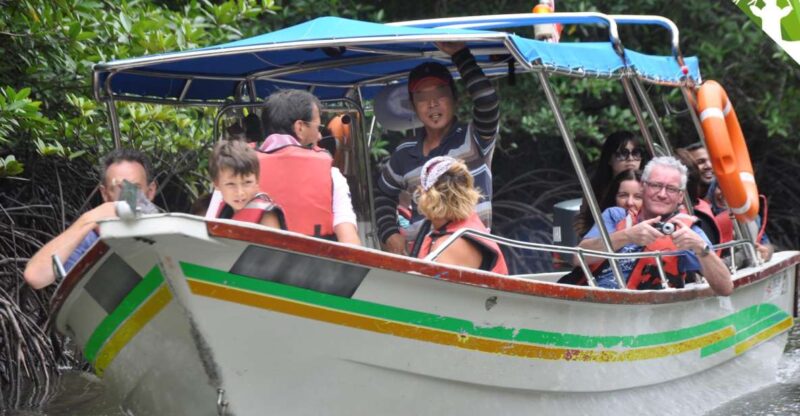 Langkawi: Full-Day Mangrove Safari Boat Tour With Lunch - Diverse Flora and Fauna
