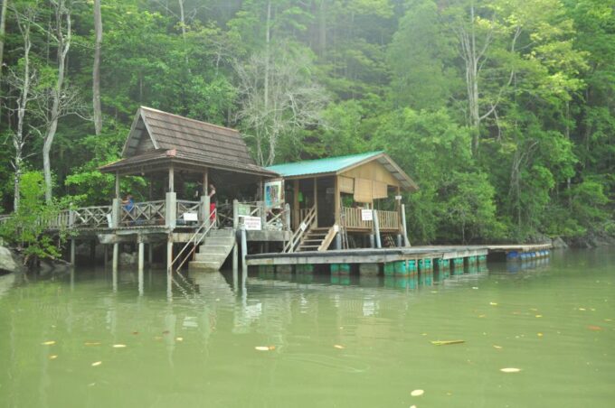 Langkawi: Full-Day Mangrove Safari Boat Tour With Lunch - Inclusions and Exclusions
