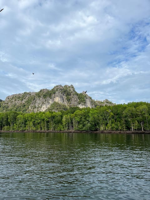 Langkawi: Half-Day Private Kilim River Mangrove Boat Tour - Itinerary and Highlights