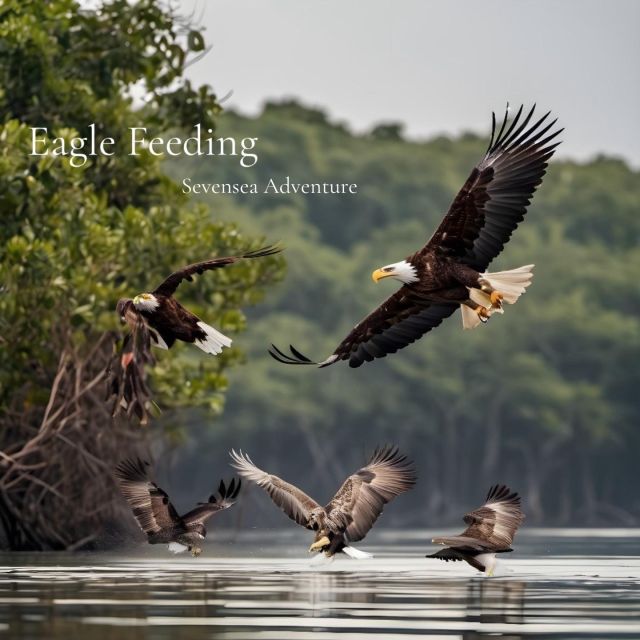 Langkawi: Half-Day Private Kilim River Mangrove Boat Tour - Customer Feedback and Ratings