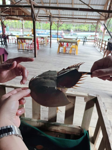 Langkawi: Half-Day Private Kilim River Mangrove Boat Tour - Key Points