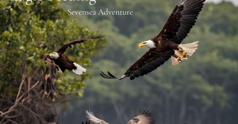 Langkawi: Half-Day Private Kilim River Mangrove Boat Tour - Activities