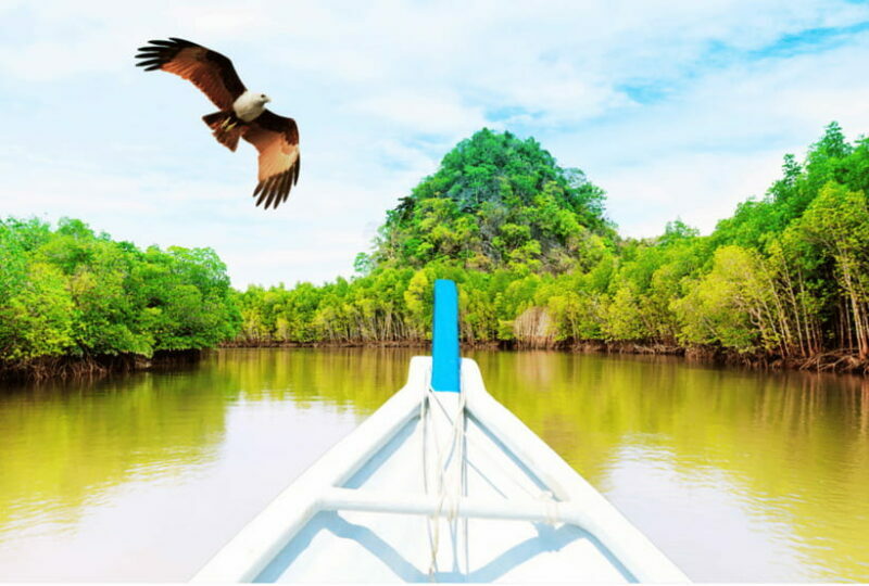 Langkawi: Half- or Full-Day Private Car Tour of Highlights - Final Thoughts