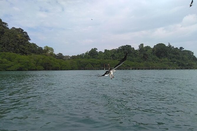 Langkawi Island Hopping Private Boat Tour With Transfer - Activity Highlights