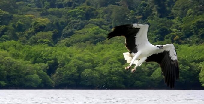 Langkawi: Island Hopping Shared or Private Boat Options - Booking and Reservation