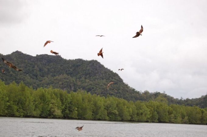 Langkawi: Island Hopping Tour - Optional Activities
