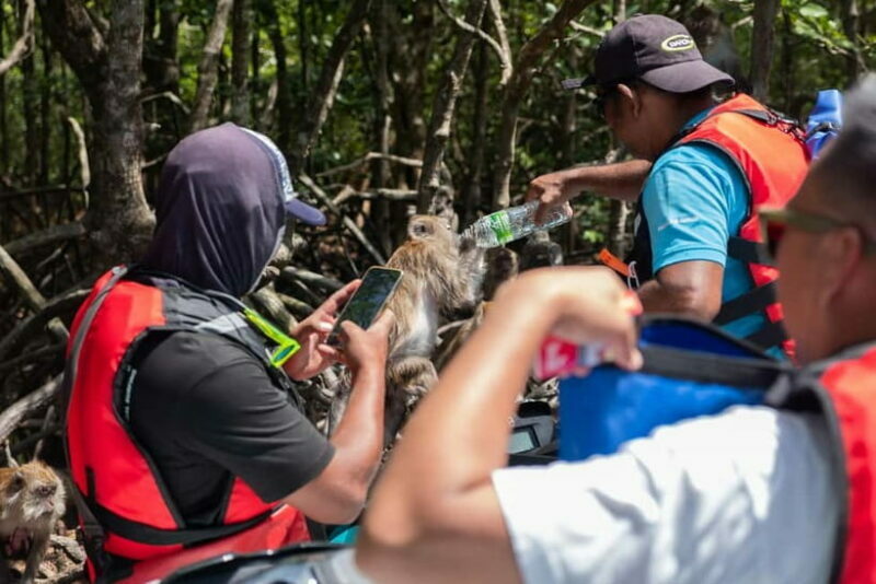 Langkawi: Jet Ski Tour UNESCO Kilim Geopark Free Video - FAQ: Your Practical Questions Answered