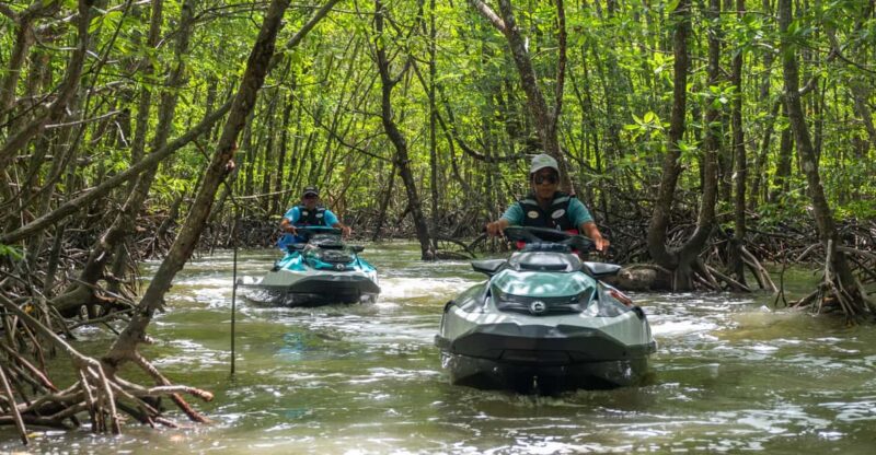Langkawi: Jet Ski Tour UNESCO Kilim Geopark - Key Points