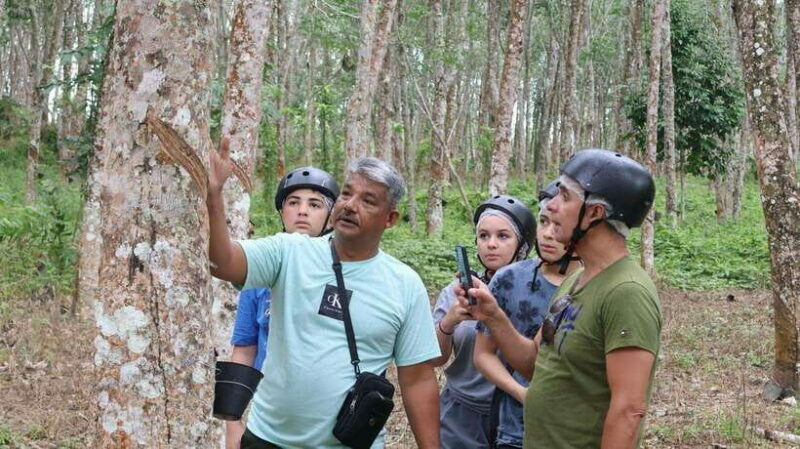 Langkawi Jungle and Waterfall Adventure - An Immersive Journey into Langkawi’s Natural Beauty