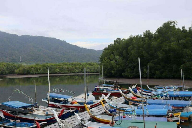 Langkawi: Kayaking Adventure and Swimming - What the Tour Offers: A Deep Dive into the Experience
