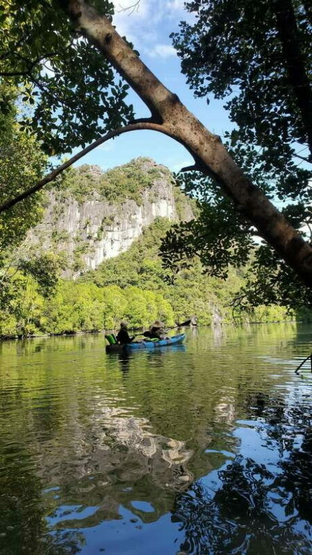 Langkawi : Kilim Geoforest Mangrove Kayak Tour with Lunch - Key Points
