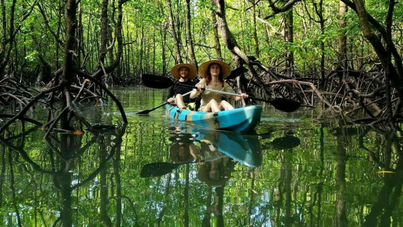 Langkawi : Kilim Geoforest Mangrove Kayak Tour with Lunch - An In-Depth Look at the Kilim Geoforest Kayak Experience
