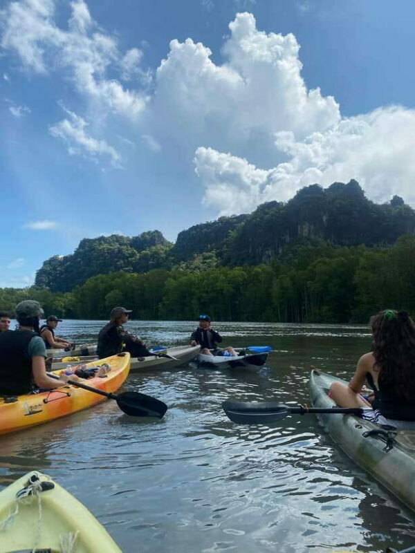 Langkawi: Kilim Karst Mangrove Kayak Adventure - Key Points