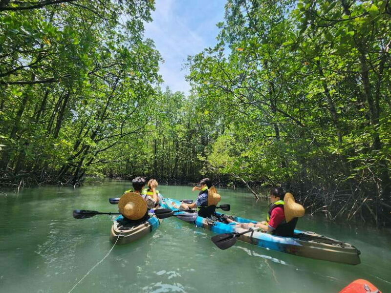Langkawi : Kilim Mangrove Boat & Fun Kayak Tour with Lunch - Introduction