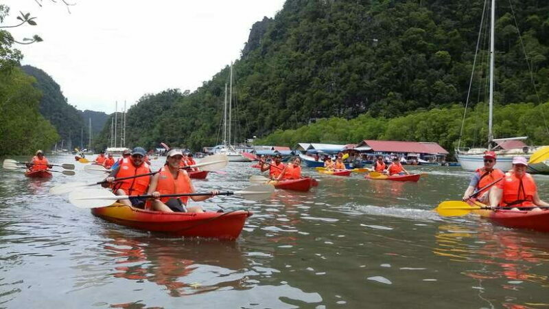 Langkawi: Kilim River Mangrove Safari Kayaking Tour - Who Should Consider This Tour?
