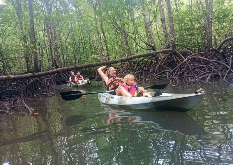 Langkawi: Kilim River Mangrove Safari Kayaking Tour - The Sum Up