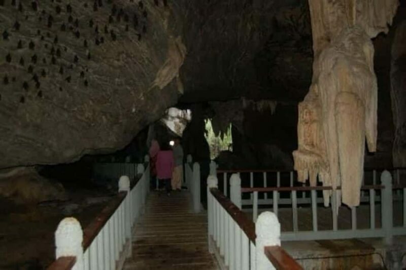 Langkawi: Mangrove 2Hour Private with Lunch - Who Will Love This Tour?