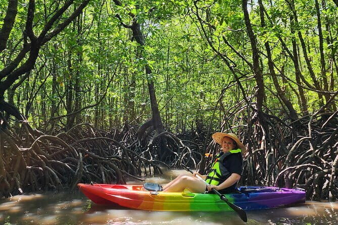 Langkawi Mangrove Kayak Tour by Sham - What You Can Expect on This Mangrove Kayak Tour