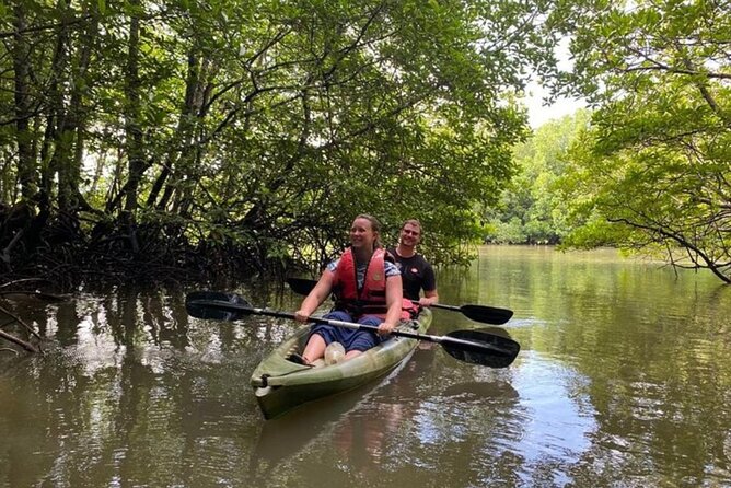 Langkawi Mangrove Kayaking Adventure With Nature Explorer - Discovering Hidden Waterways