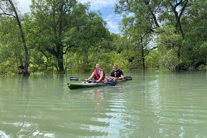 Langkawi Mangrove Kayaking Adventure With Nature Explorer - Encountering Diverse Wildlife