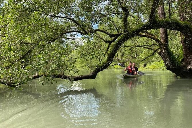 Langkawi Mangrove Kayaking Adventure With Nature Explorer - Guided Tour Highlights